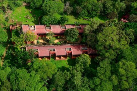 Dvě křídla Amboseli Serena Safari Lodge s červenými střechami z ptačí perspektivy, mezi stromy