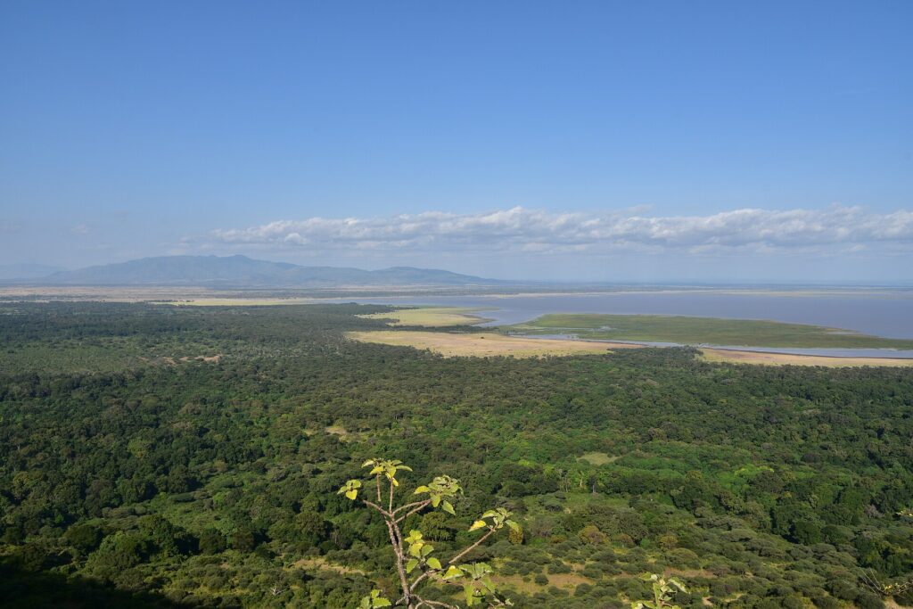 Pohled ze srázu dolů na zelený les, pláň a v dálce jezero Manyara