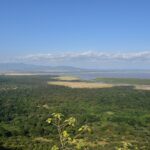 Pohled ze srázu dolů na zelený les, pláň a v dálce jezero Manyara