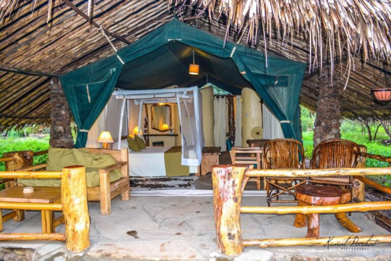 Vchod do stanu Kibo Safari Camp pod doškovou střechou, s terasou a dřevěnými křesly