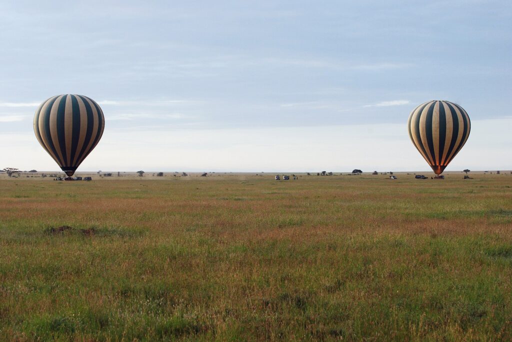 Dva pruhované balony přistávají brzy ráno na zelené pláni, za nimi jedou vozy 4x4