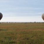 Dva pruhované balony přistávají brzy ráno na zelené pláni, za nimi jedou vozy 4x4