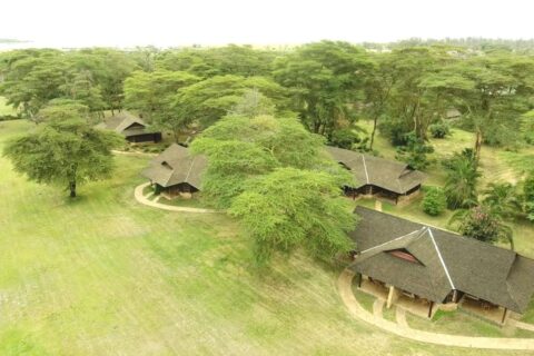 Doškové střechy Ol Tukai Lodge mezi akáciemi v národním parku Amboseli