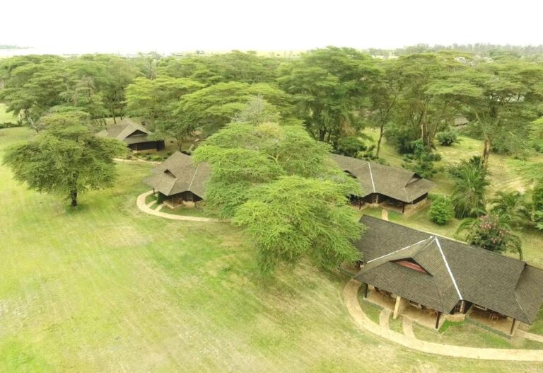 Doškové střechy Ol Tukai Lodge mezi akáciemi v národním parku Amboseli