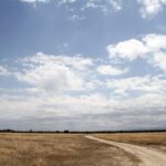 Světlá prašná cesta vede plání suché trávy pod velkou modrou oblohou plnou mraků, v dálce pár antilop a na obzoru kopce