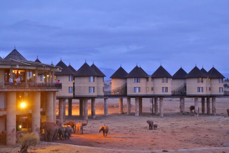 Sloni u paty lodge za soumraku, pod osvětlenou terasou a řadou věží na kůlech