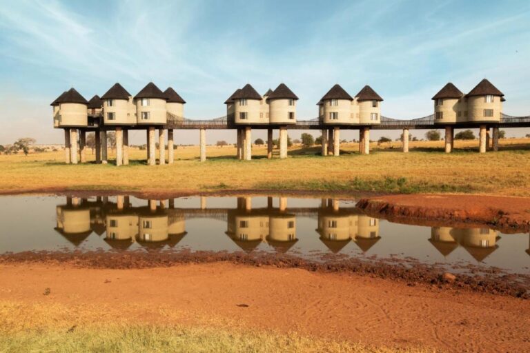 Věže Salt Lick Safari Lodge na kůlech, spojené lávkami, se zrcadlí v napajedle
