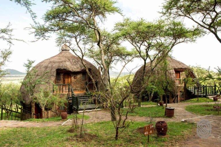 Dvě kulaté chýše Serengeti Serena Safari Lodge pod kupolovitou doškovou střechou, mezi akáciemi