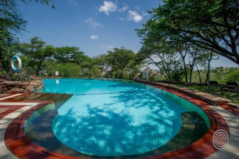 Bazén pod akáciemi, se záchranným kruhem a nízkou zídkou z kamene na sucho